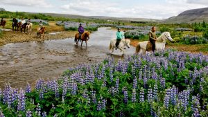 The Golden Circle & Horseback Riding Tour