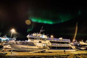 Northern Lights by Boat with a Backup Plan